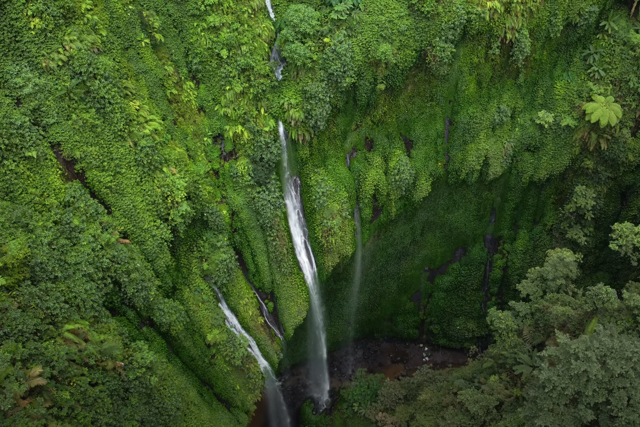 Madakaripura Waterfall