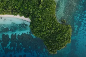 Togian Islands: Indonesia’s Hidden Paradise – Ultimate Travel Guide