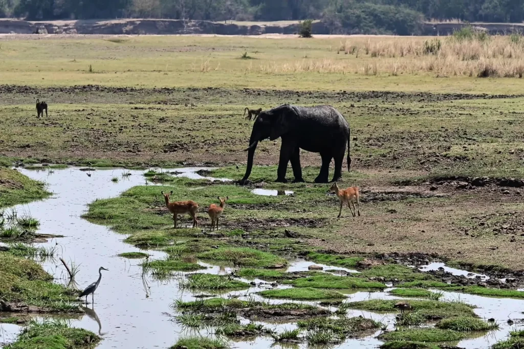 Visit Zambia