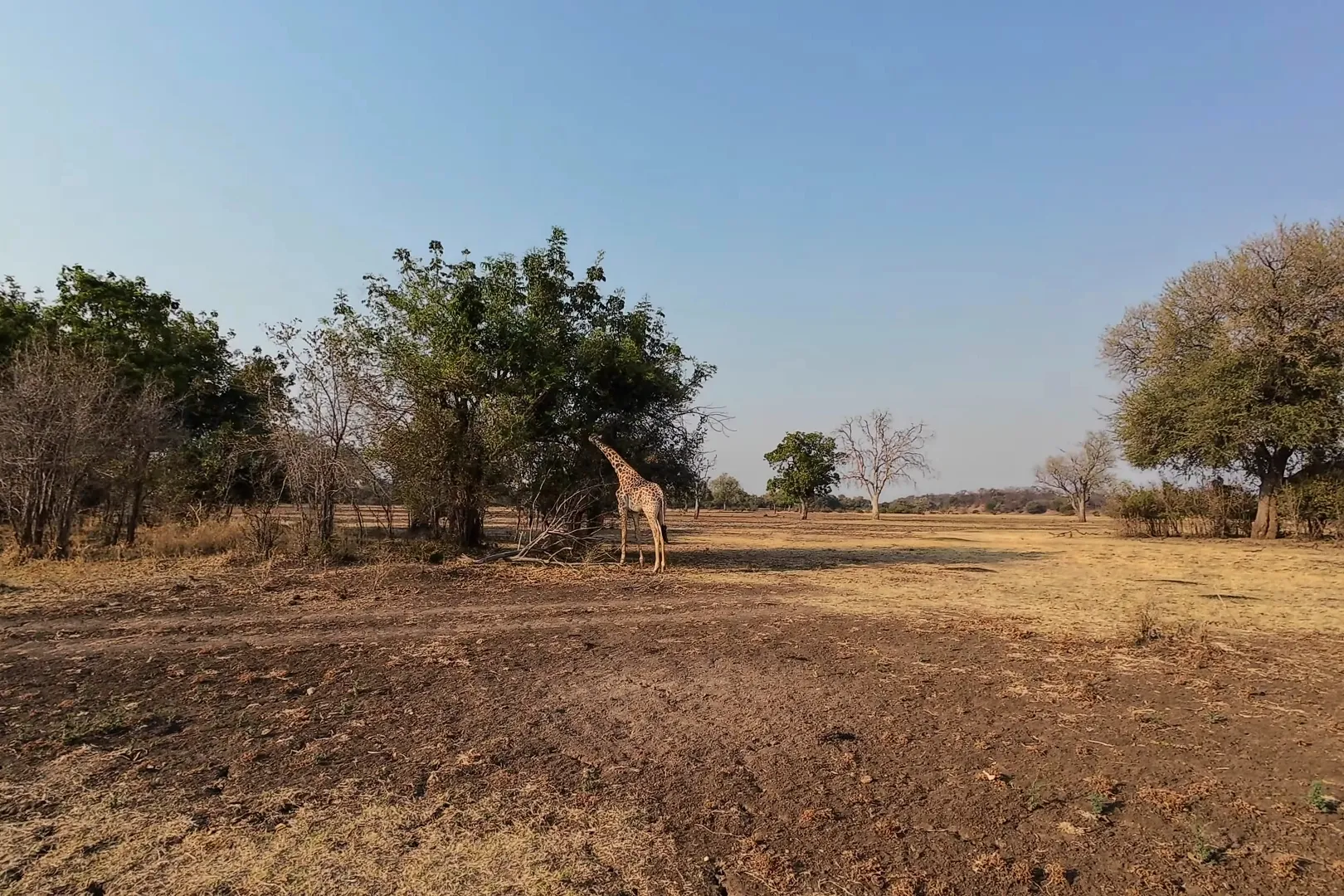Visit Zambia